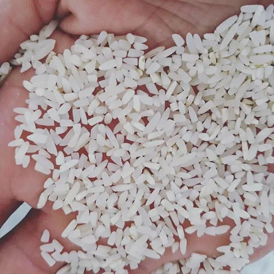 تصویر 3 از برنج طارم شکسته + برداشت تازه از مناطق شمالی کشور